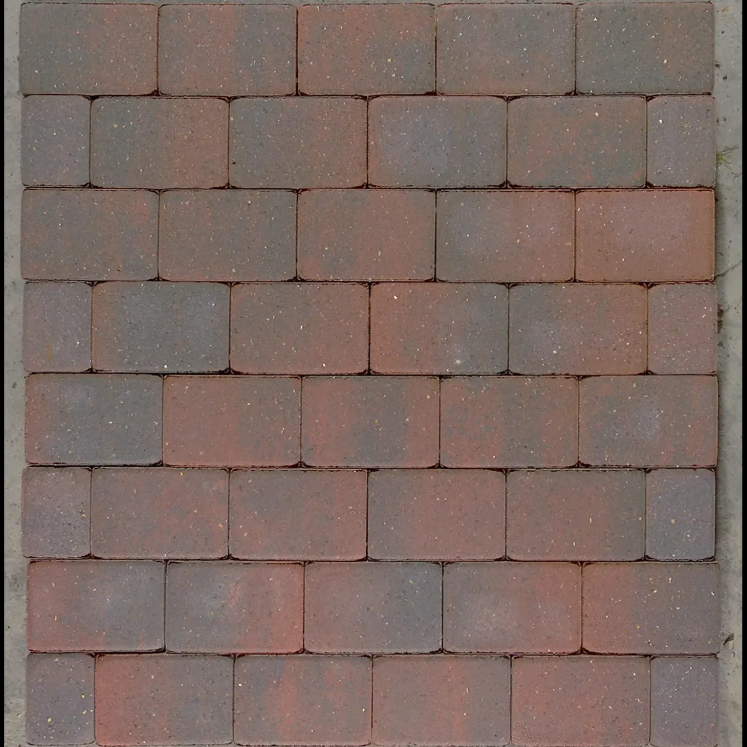 5 cm colormix Hjertingsten 14x21x5 cm - 34 stk/m²