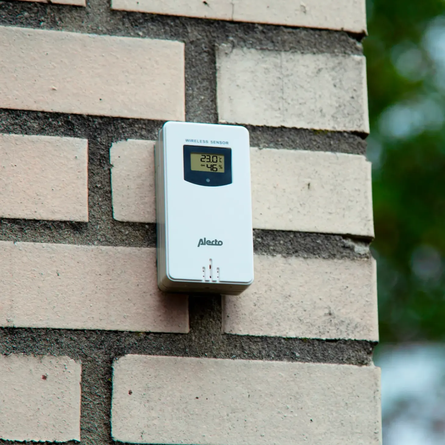 Alecto WS-150 vejrstation med trådløs sensor bambus