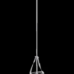 Bosch SW10 piskeris