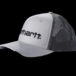 Carhartt Dunmore kasket grå str. onesize