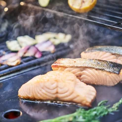 Char-Broil Essential støbejernsstegeplade