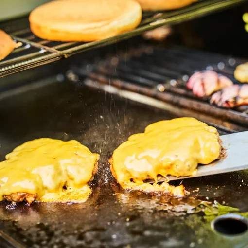 Char-Broil Essential støbejernsstegeplade