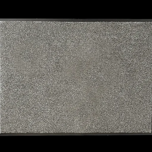 Clean Carpet dørmåtte 59x79 cm