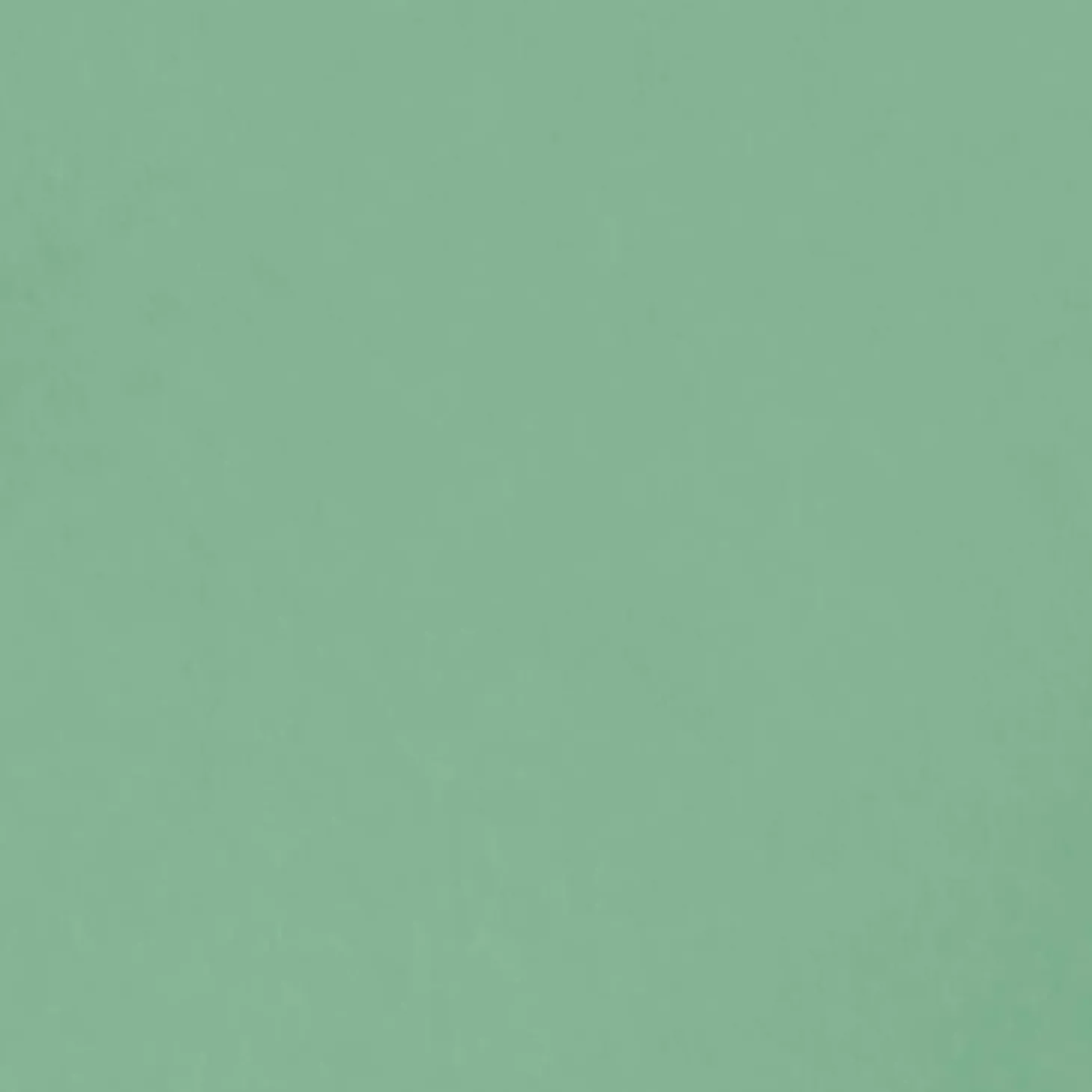 Conteco ONE 2,5 kg 43 Ivy