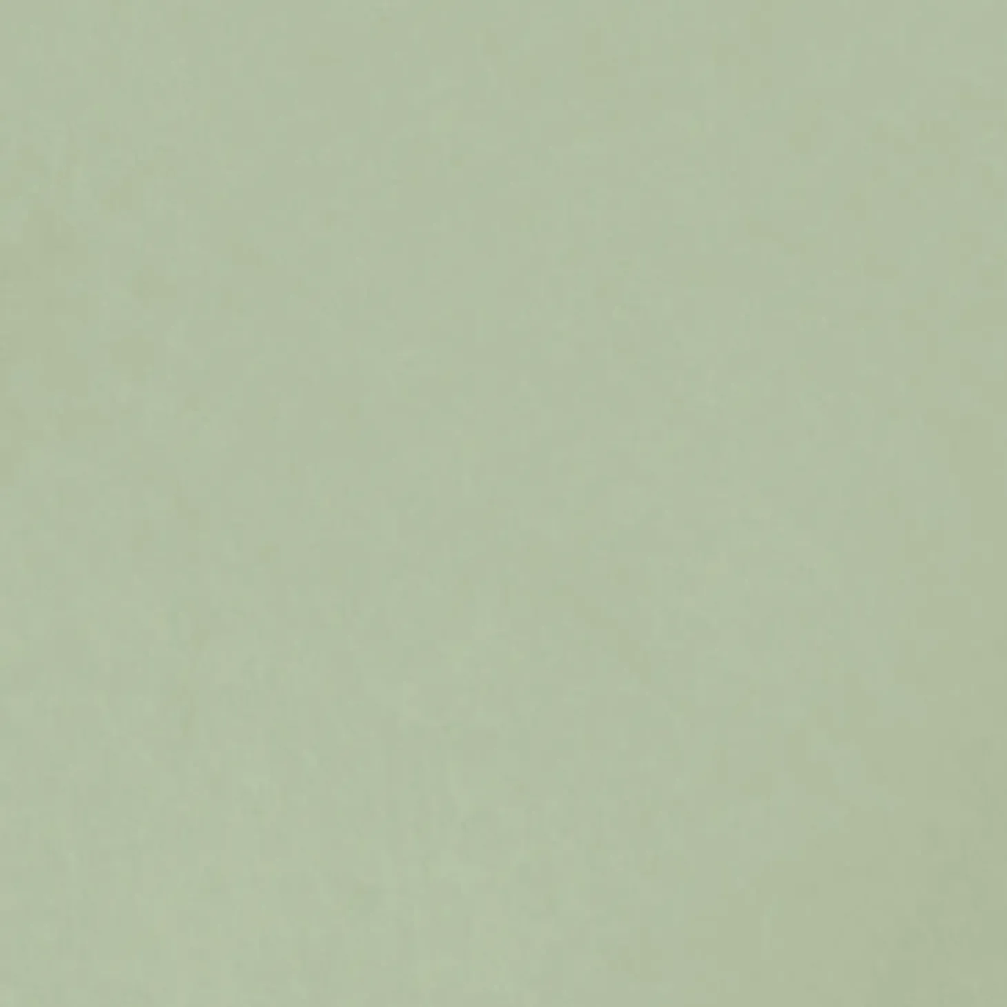 Conteco ONE 2,5 kg 42 Sage green