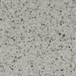 Cæsar Autore Giudecca - Fliseprøve