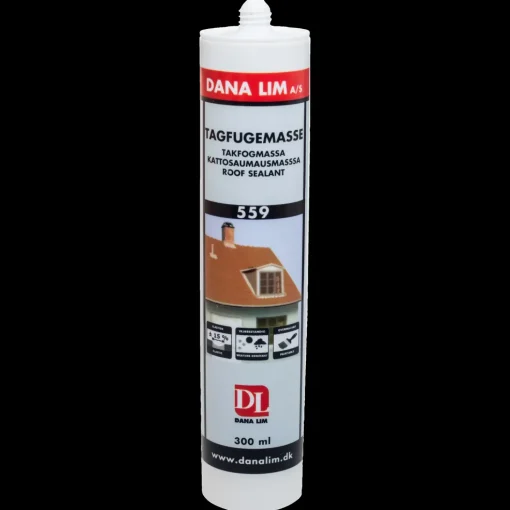 Dana 559 tagfugemasse 300 ml transparent