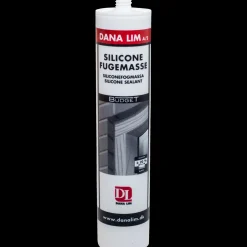 Dana budget silicone 576, 300 ml transparent
