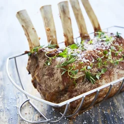 Dangrill stegholder