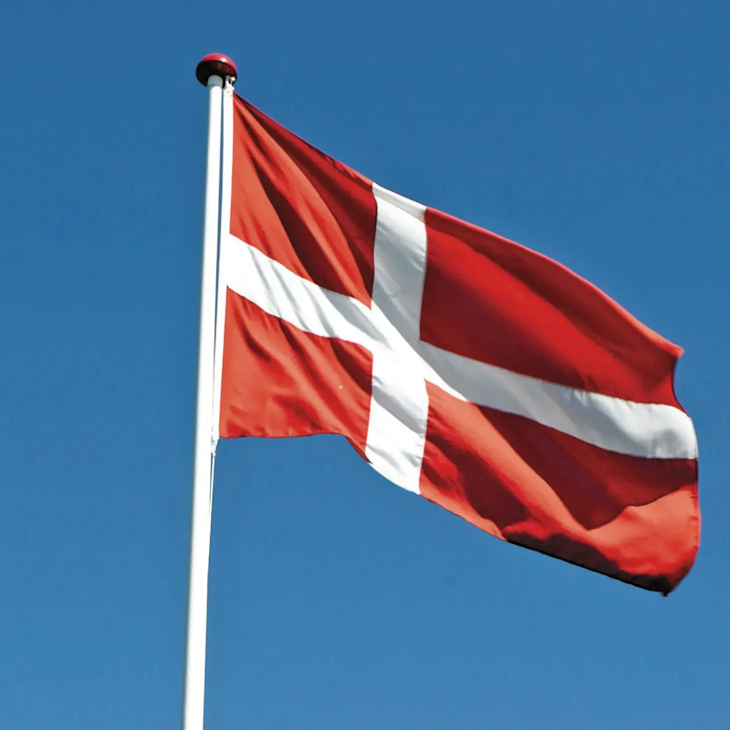 DanoMast Dannebrog til 2 meter stang (50x38 cm)