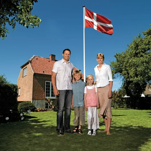 DanoMast flagstang 8 meter med vippebeslag, knop, line og lineholder