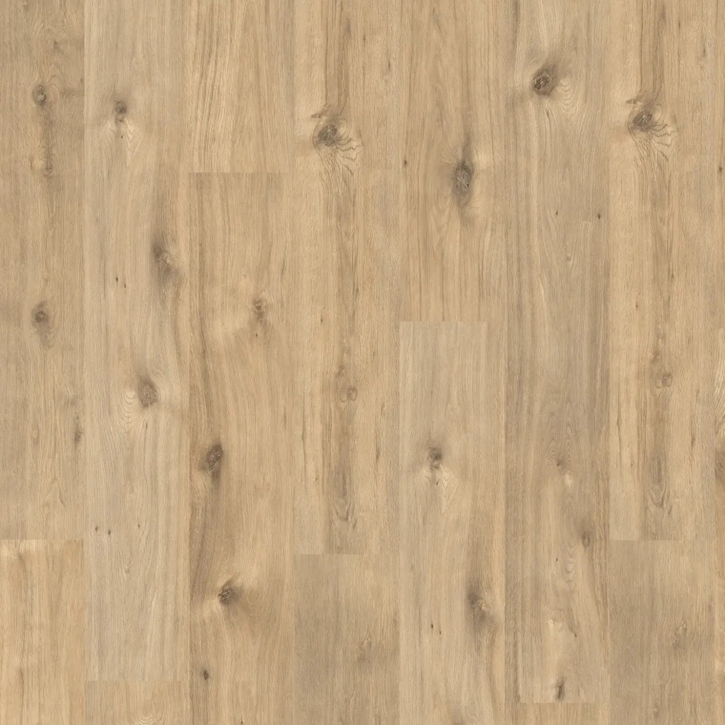 Egger Basic laminatgulv EBL006 Achensee