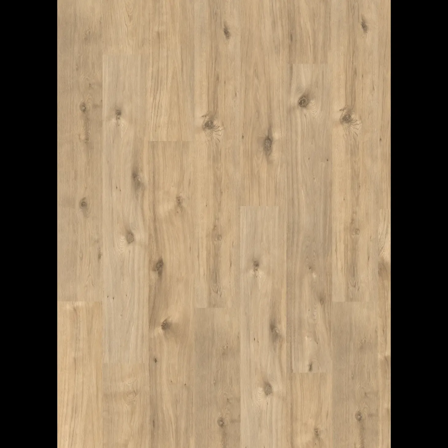 Egger Basic laminatgulv EBL006 Achensee