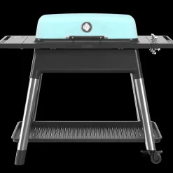 Everdure Furnace gasgrill mint
