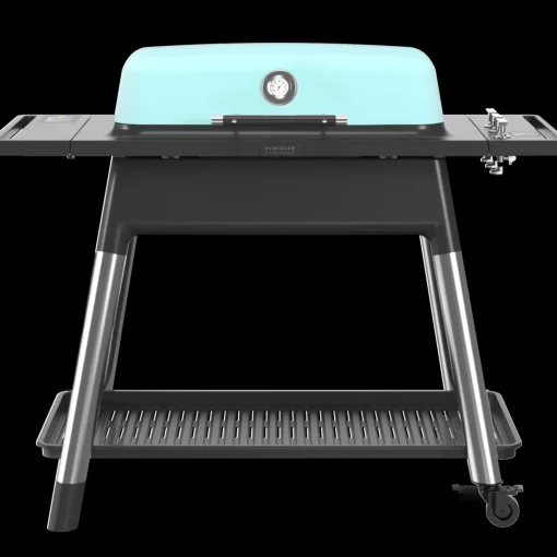 Everdure Furnace gasgrill mint