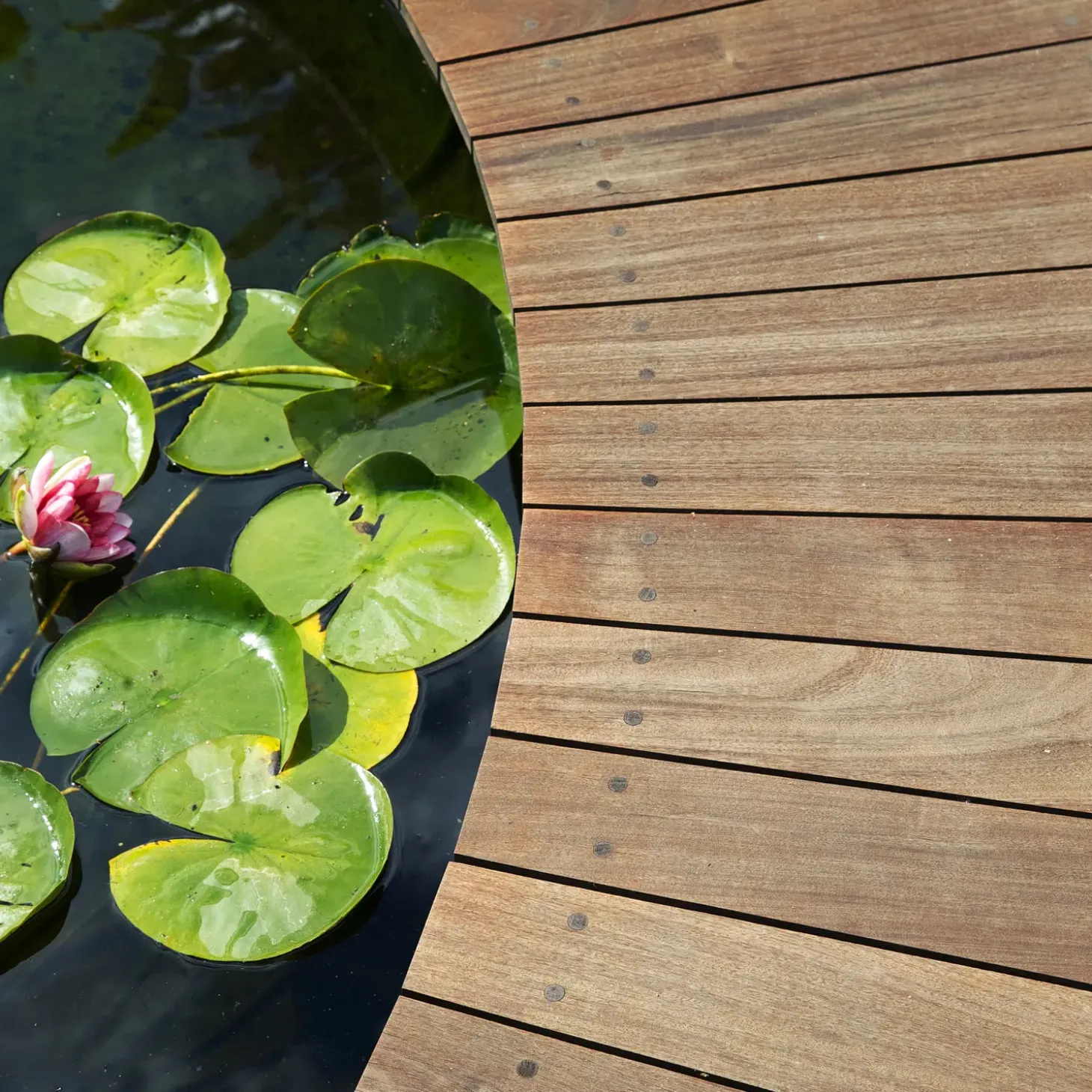GORI 304 transparent træolie træterrasse farveløs 2,5 L