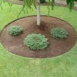 Grouw græskant 10 cm x 9 m grøn