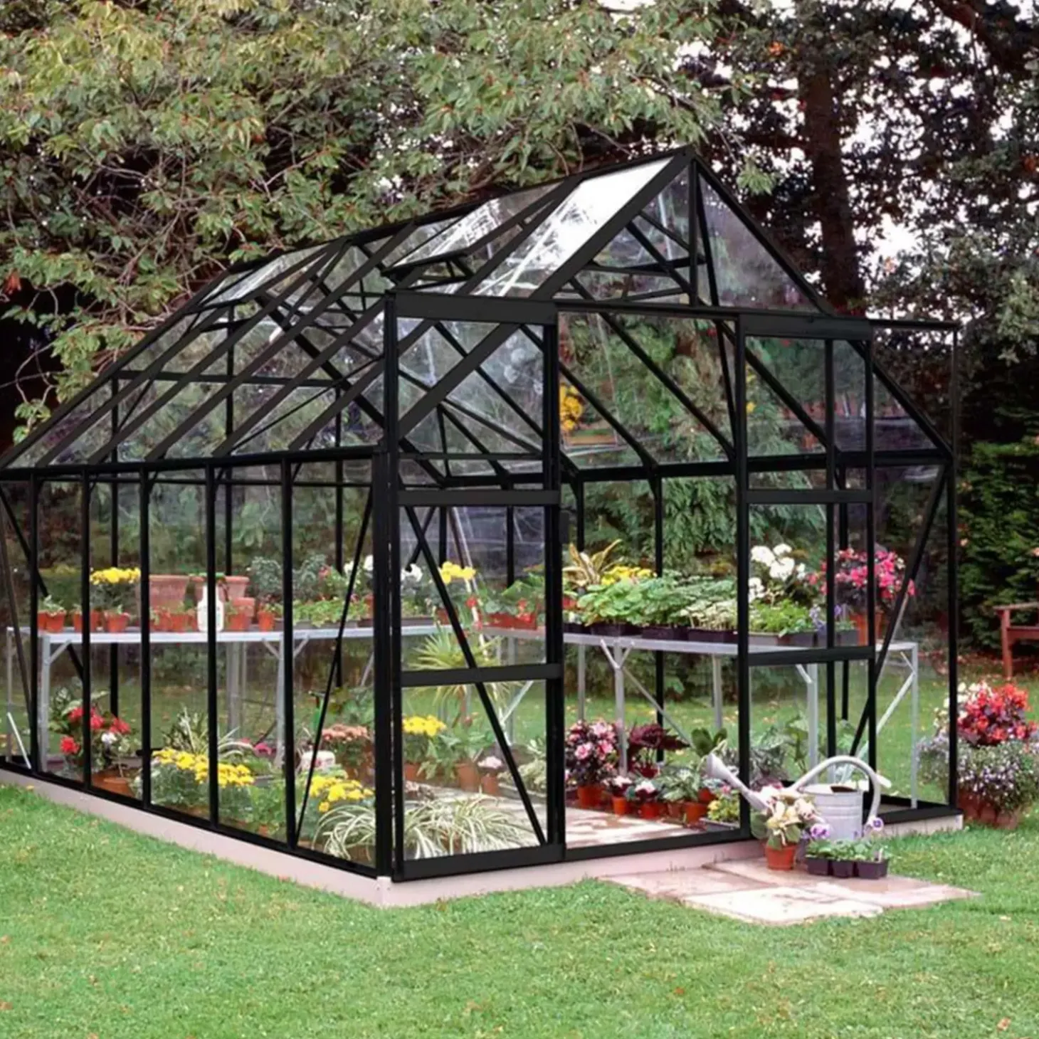 Halls Magnum 128 9,9 m² sort 3 mm hærdet glas