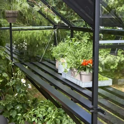 Halls Qube 68 drivhus sort med hærdet glas 5,1 m²