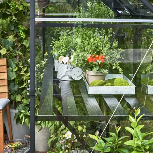 Halls Qube 68 drivhus sort med hærdet glas 5,1 m²