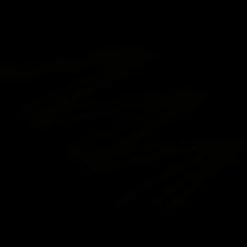 Icopal Ico-Clips.