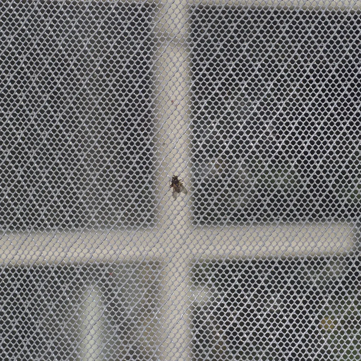 Insektnet hvid, 120 cm x 10 m