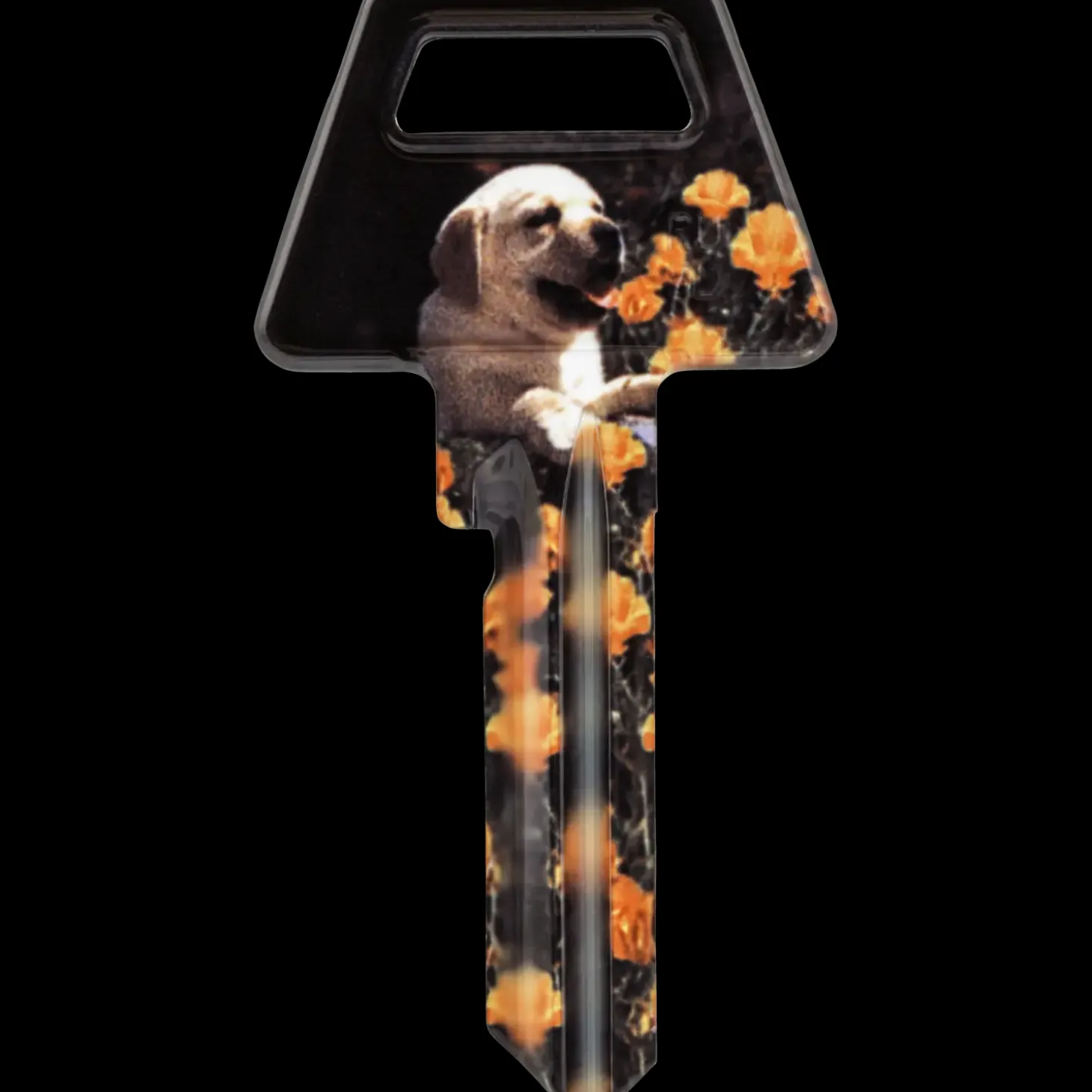 Jasa nøgleemne 6-stift hund