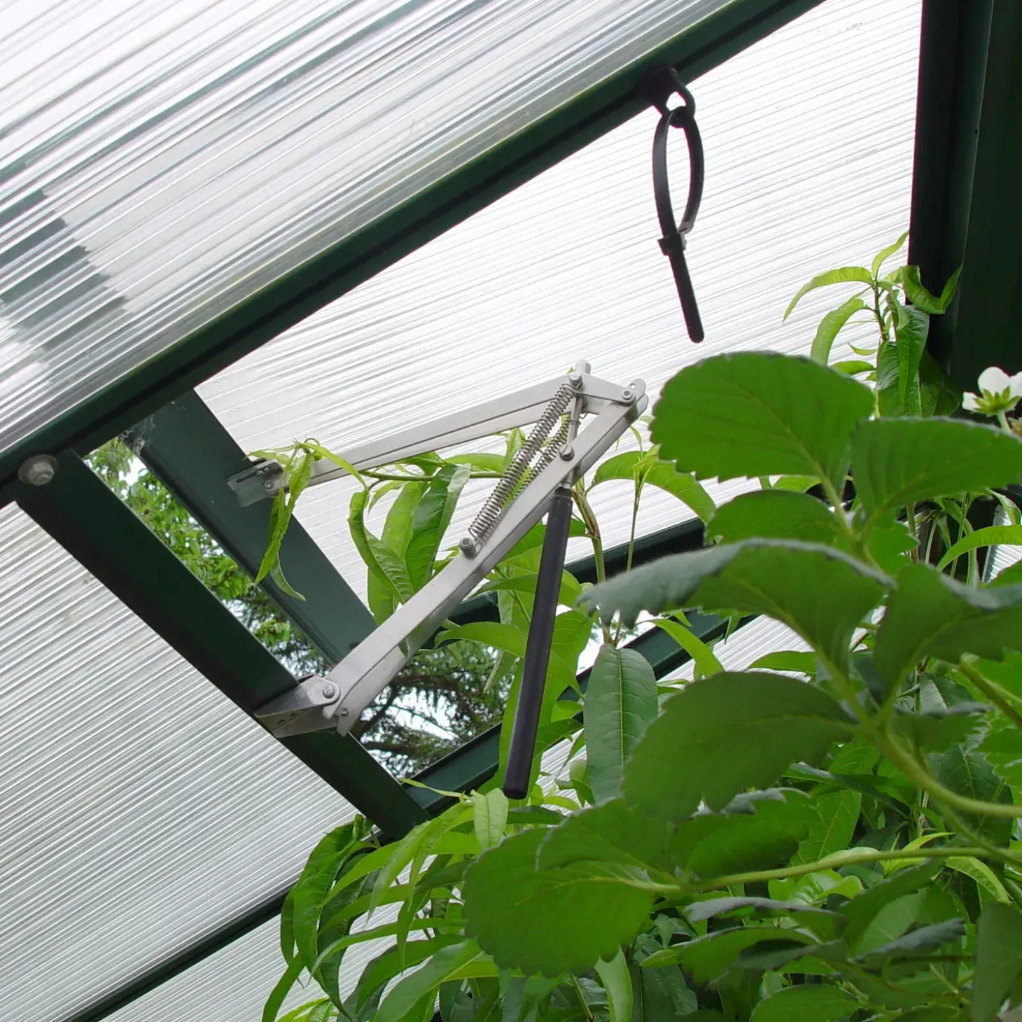 Juliana Premium drivhus antracit og sort med polycarbonat 10,9 m²