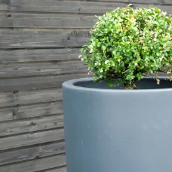 Klinkbeklædning gran gråimprægneret 32x150 mm x 4,5 m