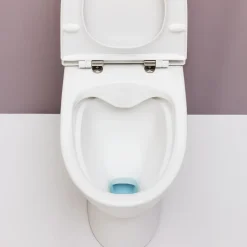 Laufen Pro-N toilet m/skjult S-lås hvid