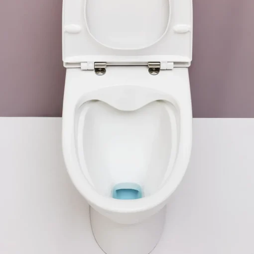 Laufen Pro-N toilet m/skjult S-lås hvid