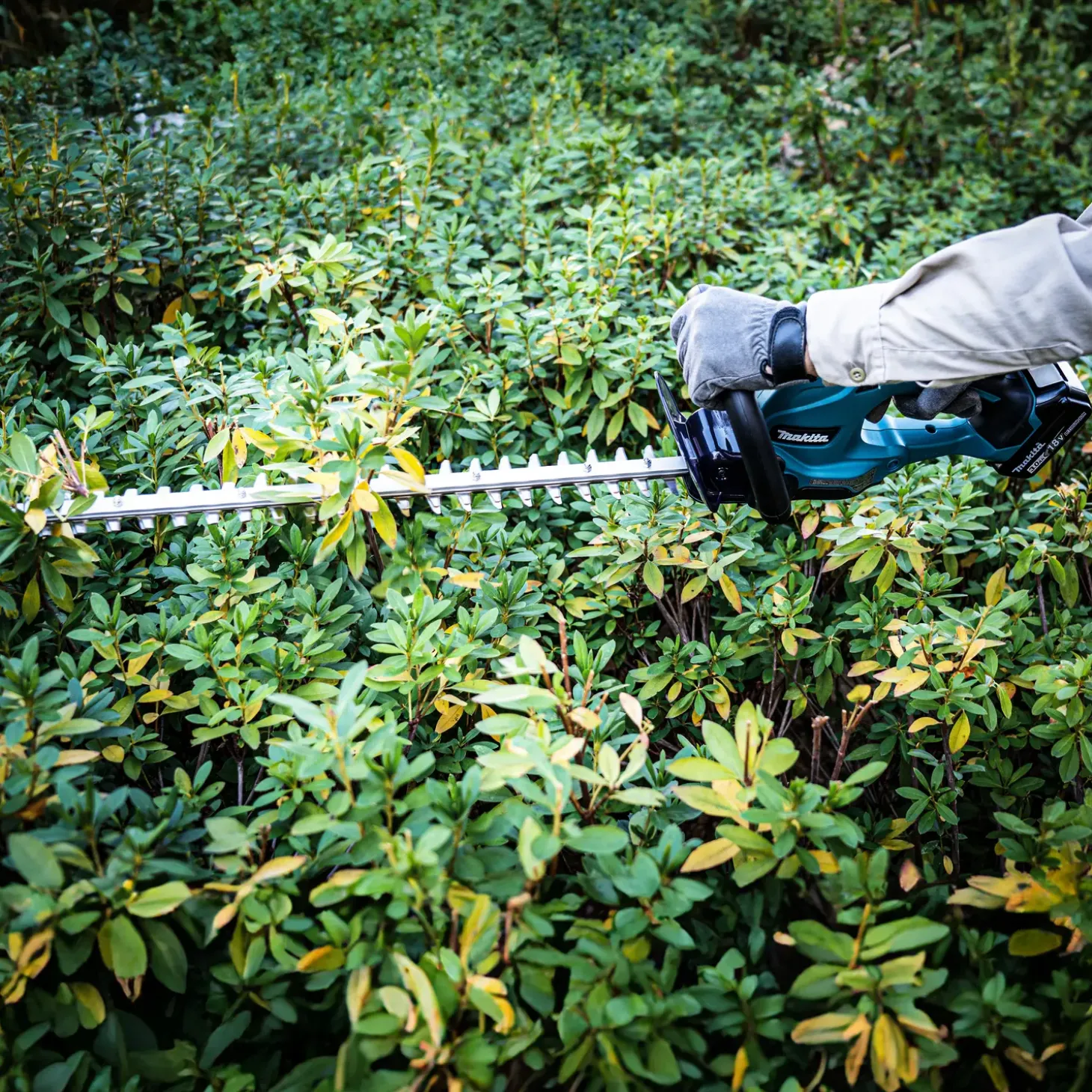 Makita DUH507F001 18V LXT® hækkeklipper 3.0Ah batteri/lader