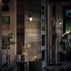 Philips Capricorn udendørs væglampe med sensor antracit