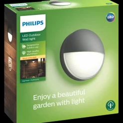 Philips Capricorn udendørs væglampe antracit