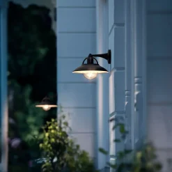 Philips Cormorant udendørs væglampe sort