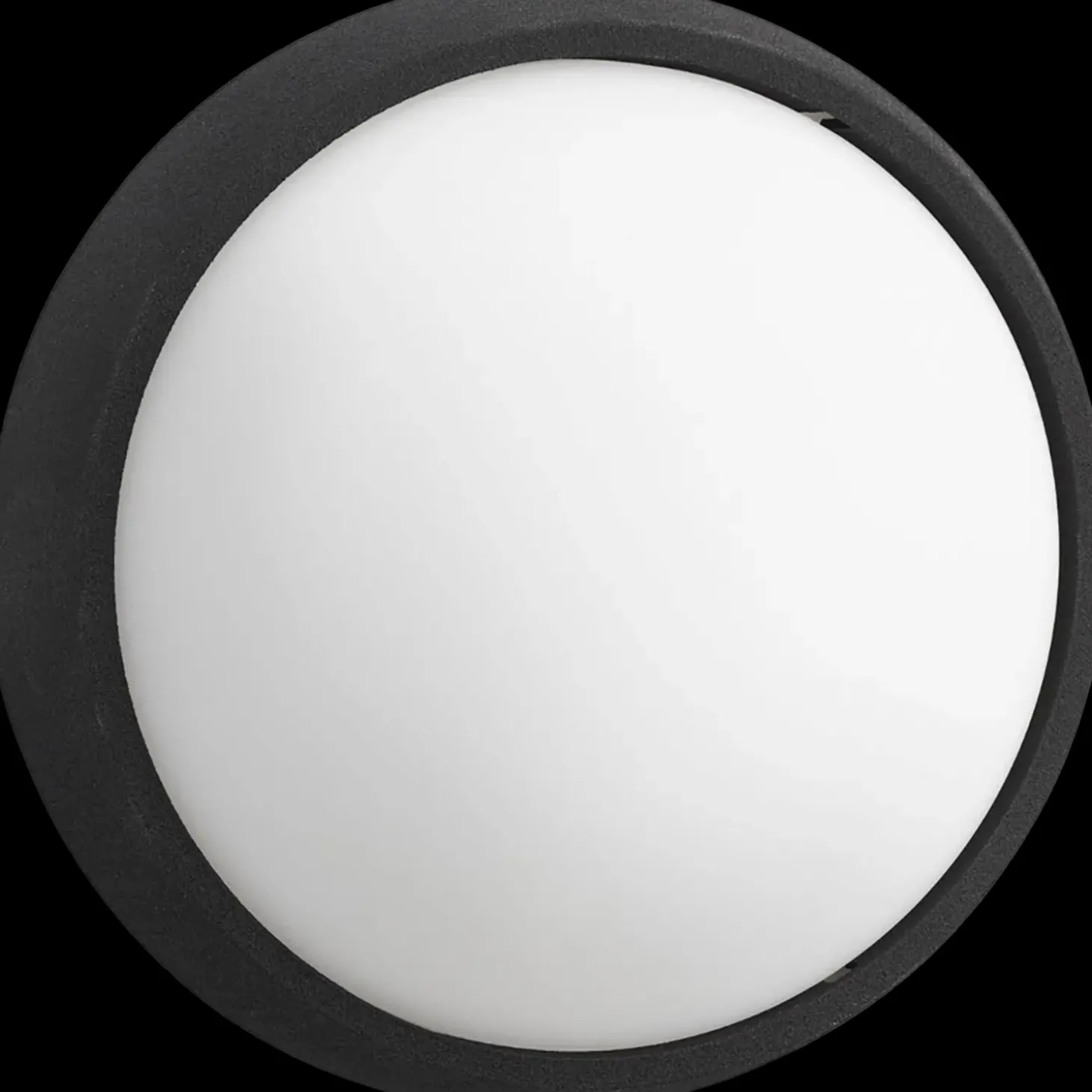 Philips Eagle udendørs væglampe sort