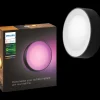 Philips Hue Daylo udendørs væglampe 15W sort