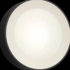 Philips Hue Daylo udendørs væglampe 15W sort