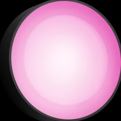 Philips Hue Daylo udendørs væglampe 15W sort