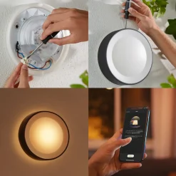 Philips Hue Daylo udendørs væglampe 15W sort