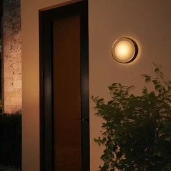 Philips Hue Daylo udendørs væglampe 15W sort