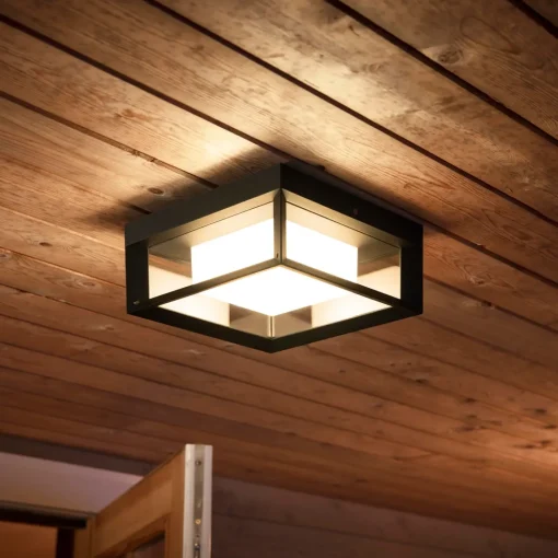 Philips Hue Econic udendørs væglampe 15W sort