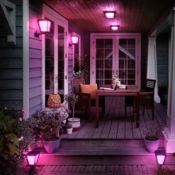 Philips Hue Econic udendørs væglampe 15W sort