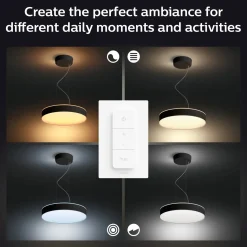 Philips Hue Enrave pendel Ø42,5 mm 33,5W sort
