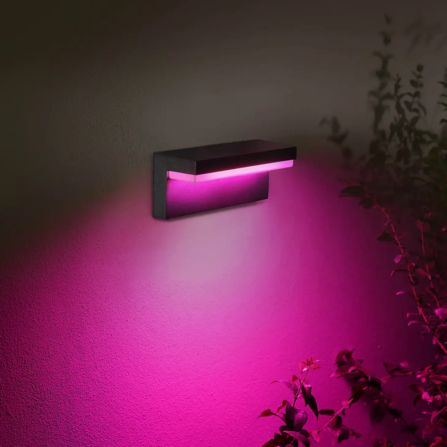 Philips Hue Nyro udendørs væglampe sort