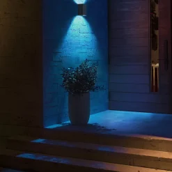Philips Hue Resonate udendørs væglampe sort