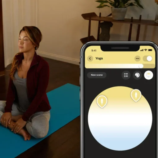 Philips Hue White ambiance dobbeltpakke E14 LED