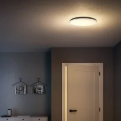 Philips Wawel plafond 20W hvid