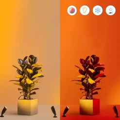 Philips WiZ udendørs bedlamper spot startsæt 10W sort