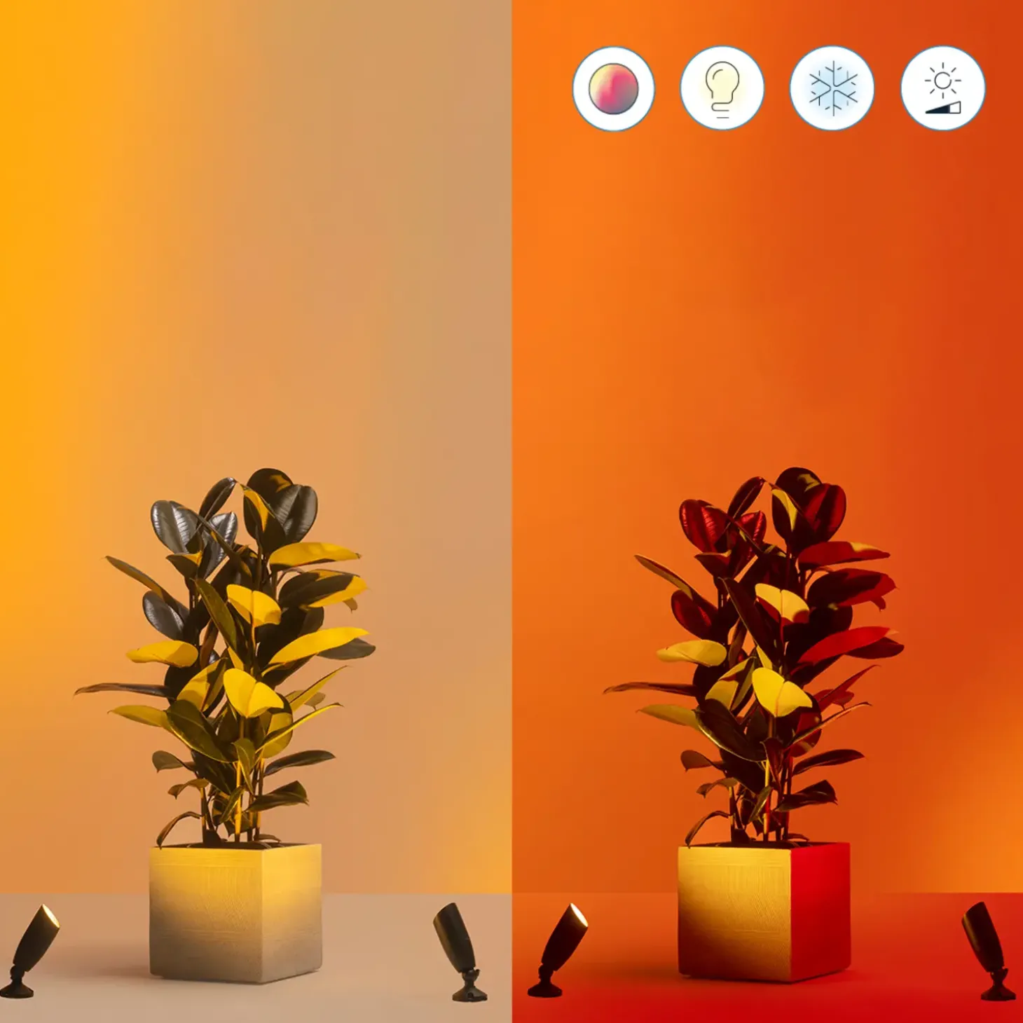 Philips WiZ udendørs bedlamper spot startsæt 10W sort